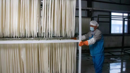 稅務(wù)賦能，非遺“活”起來 延邊稅務(wù)助力非物質(zhì)文化遺產(chǎn)傳承與發(fā)展